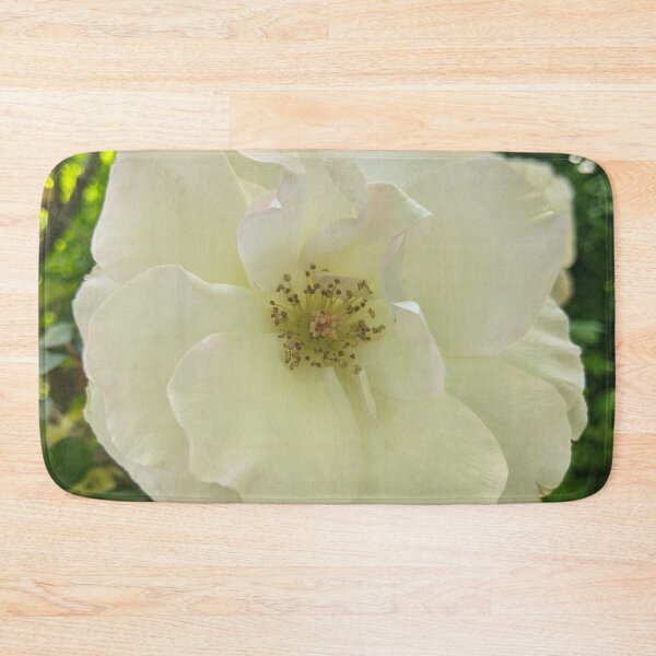 Item preview, Floribunda Rose Flower Original designed and sold by PLANTONE.