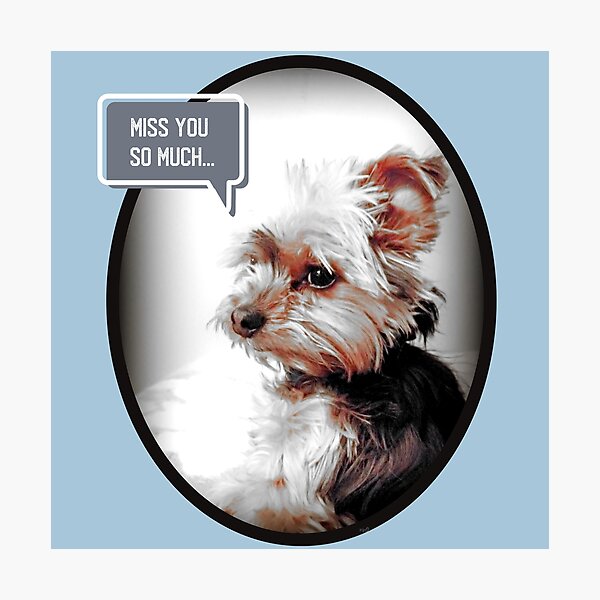 Item preview, Cute Yorkie Dog - Miss You So Much... Adorable Yorkshire Terrier Meme designed and sold by Yorkie Love.