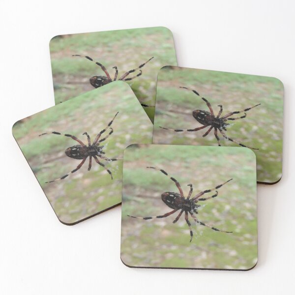 Item preview, Orb weaver spider in a web underside designed and sold by VondasCreations.