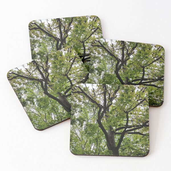Item preview, Into the trees Gisbourne Victoria designed and sold by Jason Patrick.