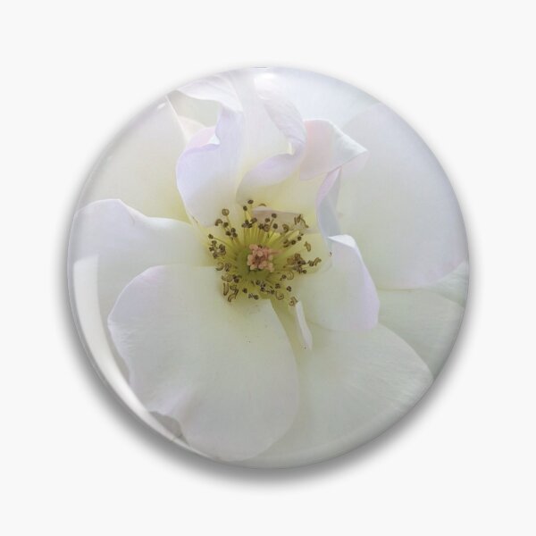 Item preview, Floribunda Rose Flower Enhanced designed and sold by PLANTONE.