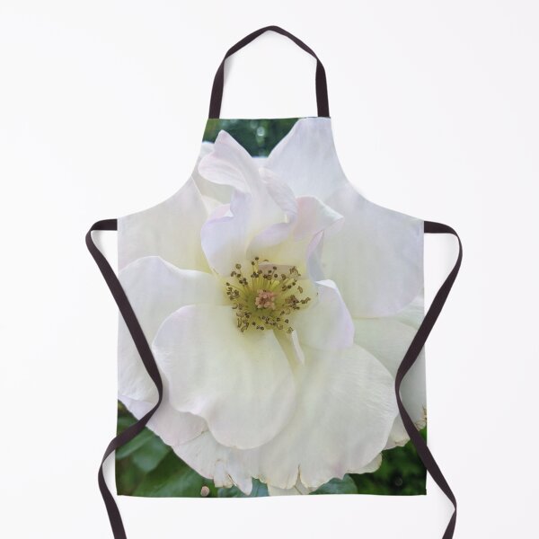 Item preview, Floribunda Rose Flower Enhanced designed and sold by PLANTONE.