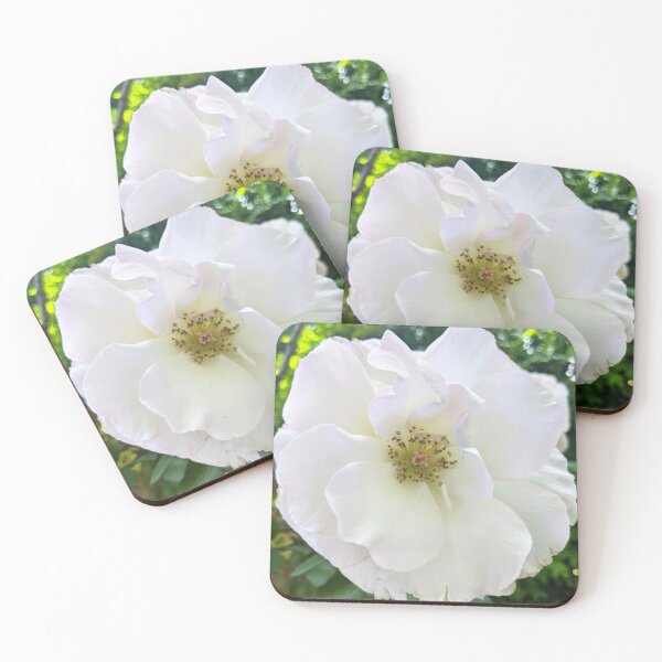 Item preview, Floribunda Rose Flower Enhanced designed and sold by PLANTONE.