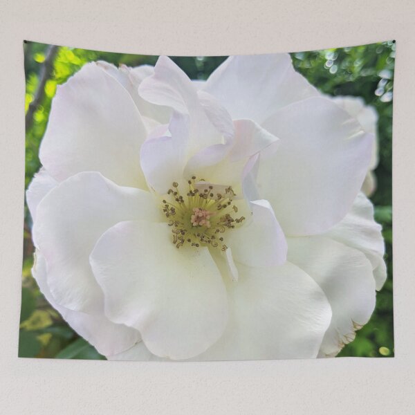 Item preview, Floribunda Rose Flower Enhanced designed and sold by PLANTONE.