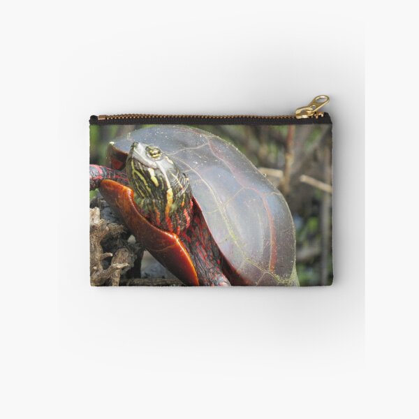Item preview, Happy Turtle! designed and sold by JoanneKenney.