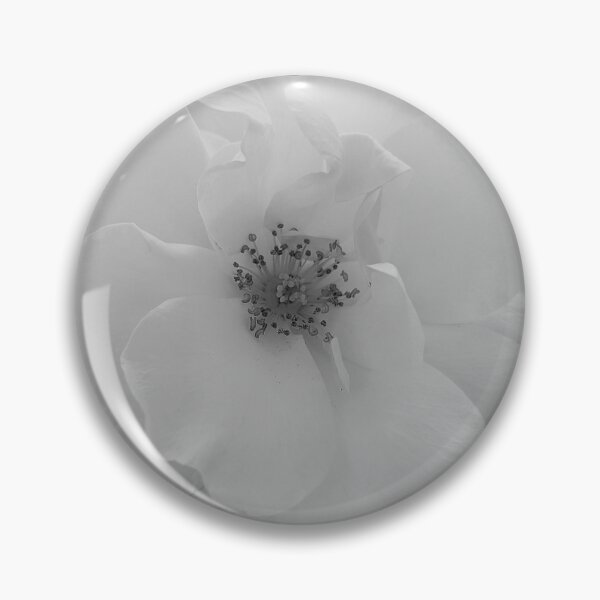 Item preview, Floribunda Rose Flower Vanilla designed and sold by PLANTONE.