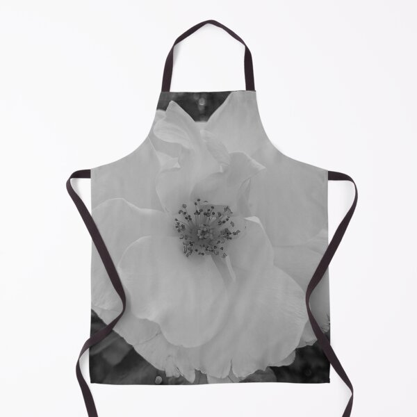 Item preview, Floribunda Rose Flower Vanilla designed and sold by PLANTONE.
