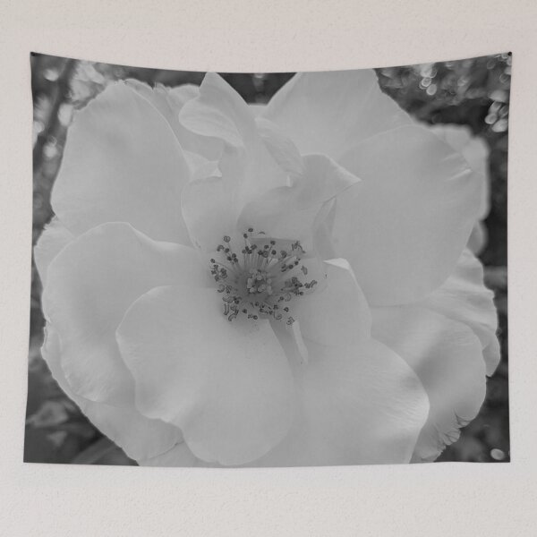 Item preview, Floribunda Rose Flower Vanilla designed and sold by PLANTONE.