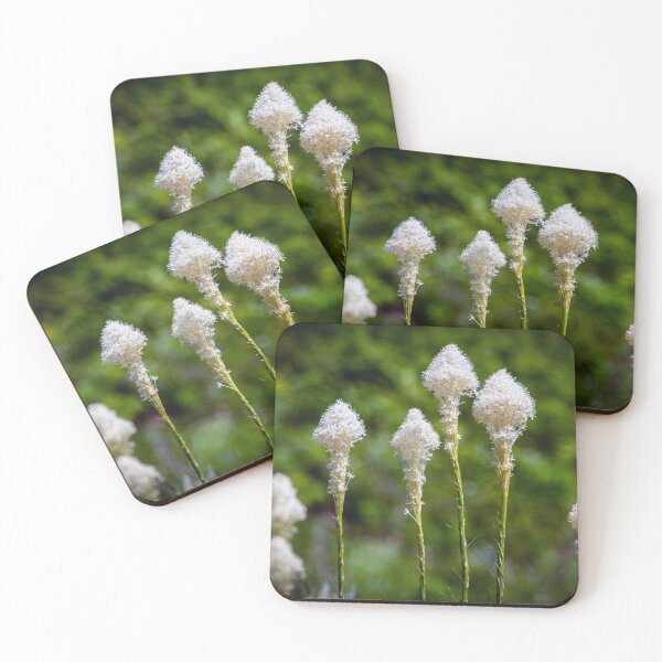 Item preview, Beargrass  designed and sold by AvocaSpring.