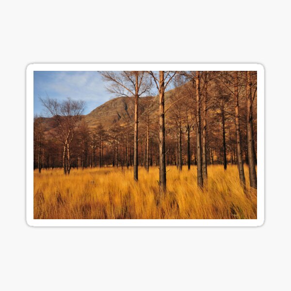 Glen Torridon Sticker
