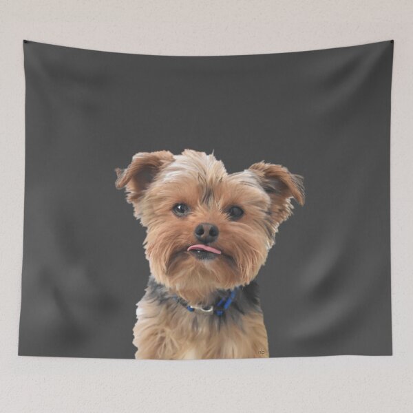 Item preview, Cute Yorkie Sticking Tongue Out | Adorable Yorkshire Terrier Dog designed and sold by Yorkie  Love.