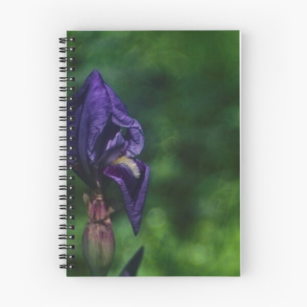 Item preview, lilies designed and sold by Sergio Roberto Peña y Lillo Lonconao.