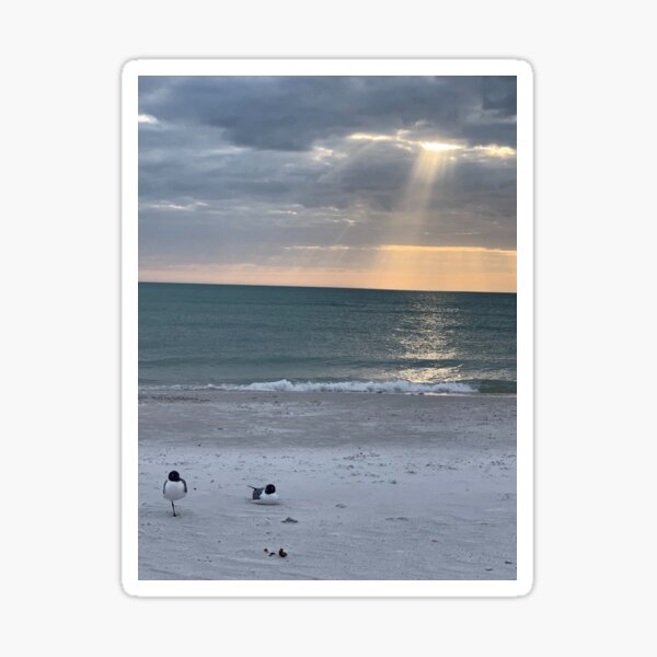 Ocean Breeze Sticker