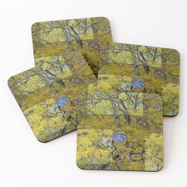 Item preview, Photo effect #89 designed and sold by Jodie Cooper.