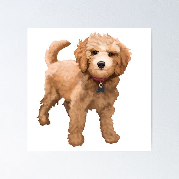 Item preview, Golden Doodle designed and sold by Kcskreations.