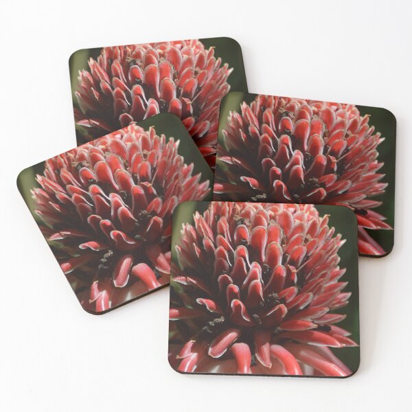 Item preview, Torch Lily Bloom designed and sold by SnapsbySnoble.