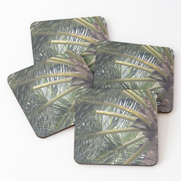 Item preview, Island Palm Tree designed and sold by SnapsbySnoble.