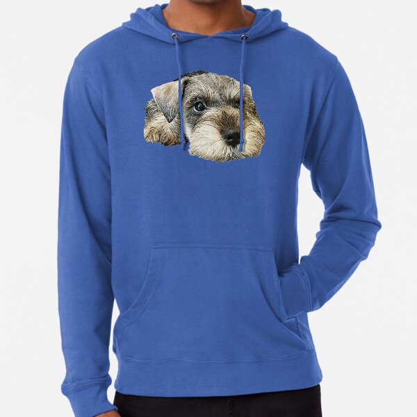Miniature Schnauzer Cute mini puppy dog