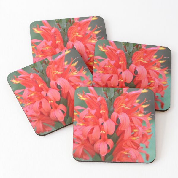 Item preview, Dragon Fire Flower designed and sold by SnapsbySnoble.