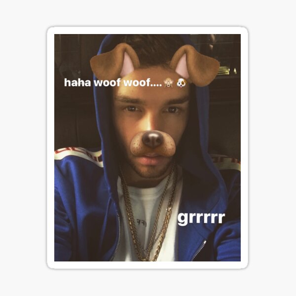 Liam Payne - Woof Sticker