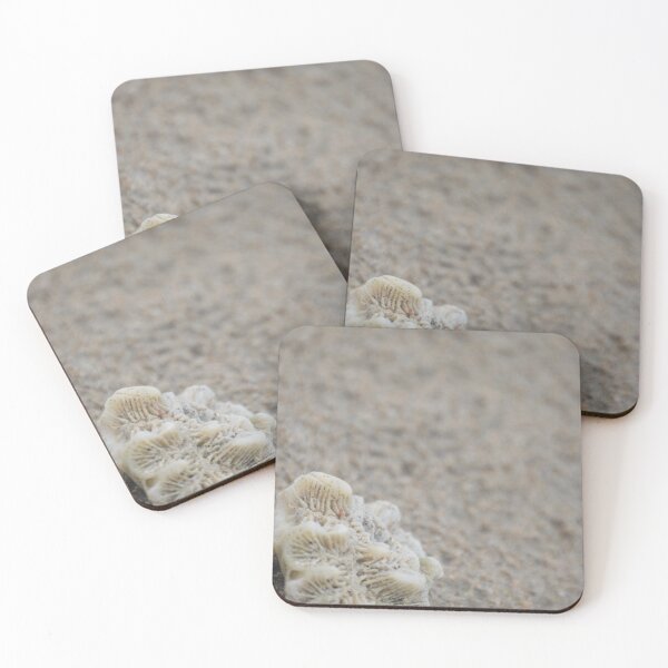 Item preview, Seashells by the Seashore designed and sold by SnapsbySnoble.