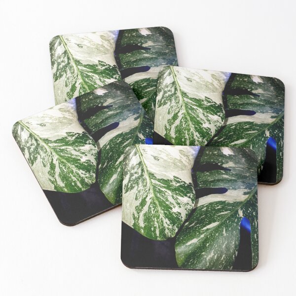 Item preview, Monstera designed and sold by drawing4plants.