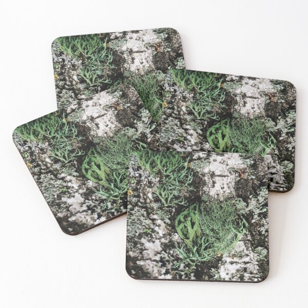 Item preview, Bizzare botany. designed and sold by FENIO.