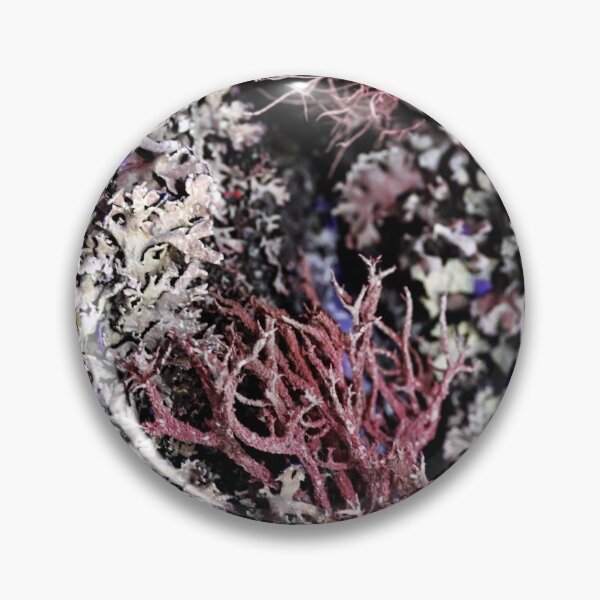 Item preview, Foliose Lichen texture on the tree. designed and sold by FENIO.