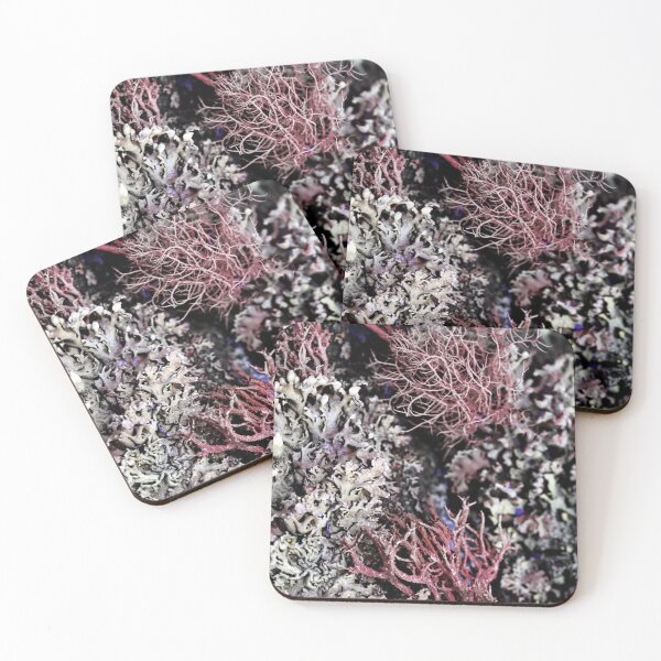 Item preview, Foliose Lichen texture on the tree. designed and sold by FENIO.