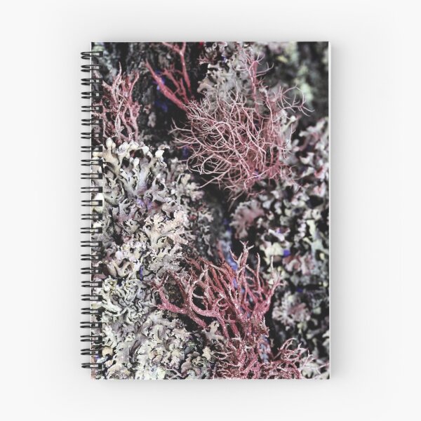 Item preview, Foliose Lichen texture on the tree. designed and sold by FENIO.