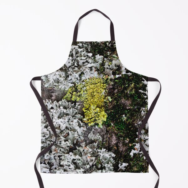 Item preview, Yellow lichen or moss Cetraria pinastri on the tree.  designed and sold by FENIO.