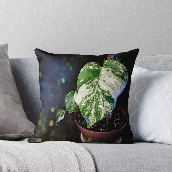 Item preview, Monstera designed and sold by drawing4plants.
