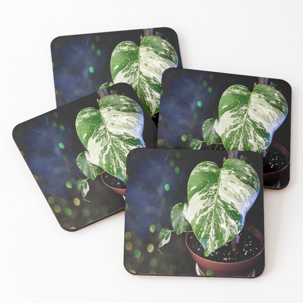 Item preview, Monstera designed and sold by drawing4plants.