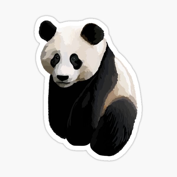 Realistic Giant Panda Illustration Sticker