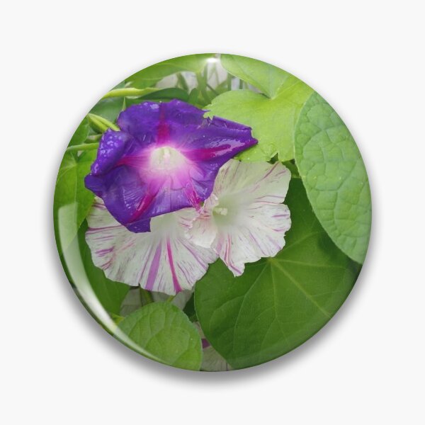 Item preview, MorningGlorys designed and sold by AbstractRichter.
