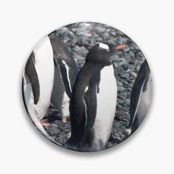 Item preview, Wrong Way Penguin designed and sold by Marylou Badeaux.