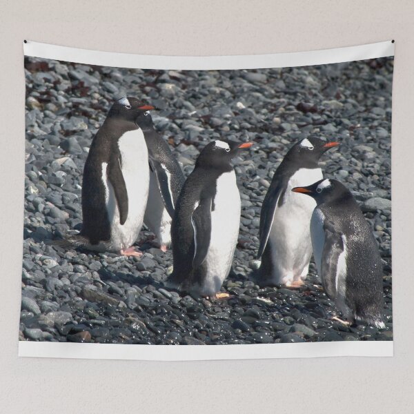Item preview, Wrong Way Penguin designed and sold by Marylou Badeaux.