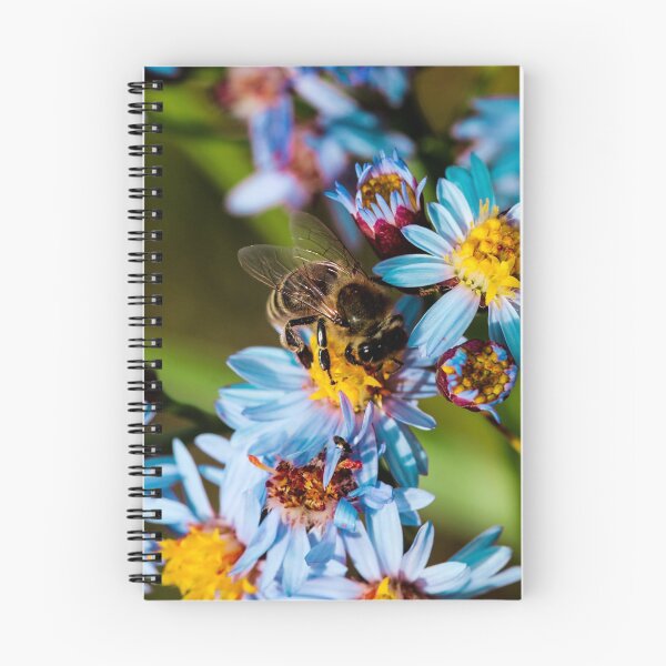 Item preview, Sea aster or Tripolium pannonicum. designed and sold by FENIO.