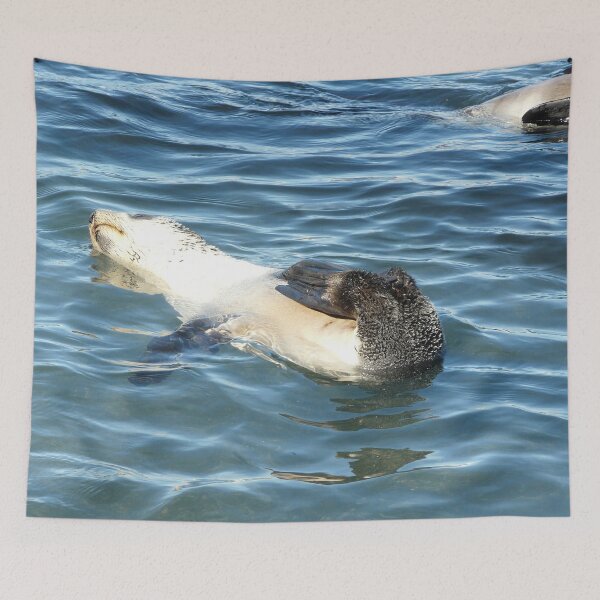 Item preview, Seal pup relaxing designed and sold by Marylou Badeaux.