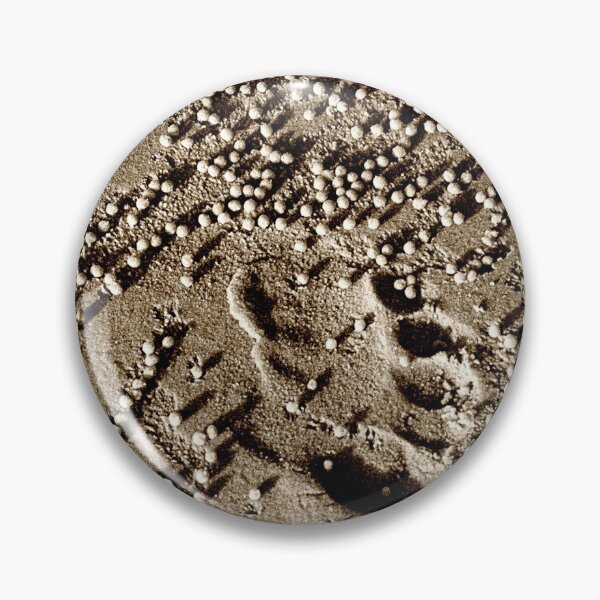 Item preview, Sand Impressions designed and sold by Marylou Badeaux.