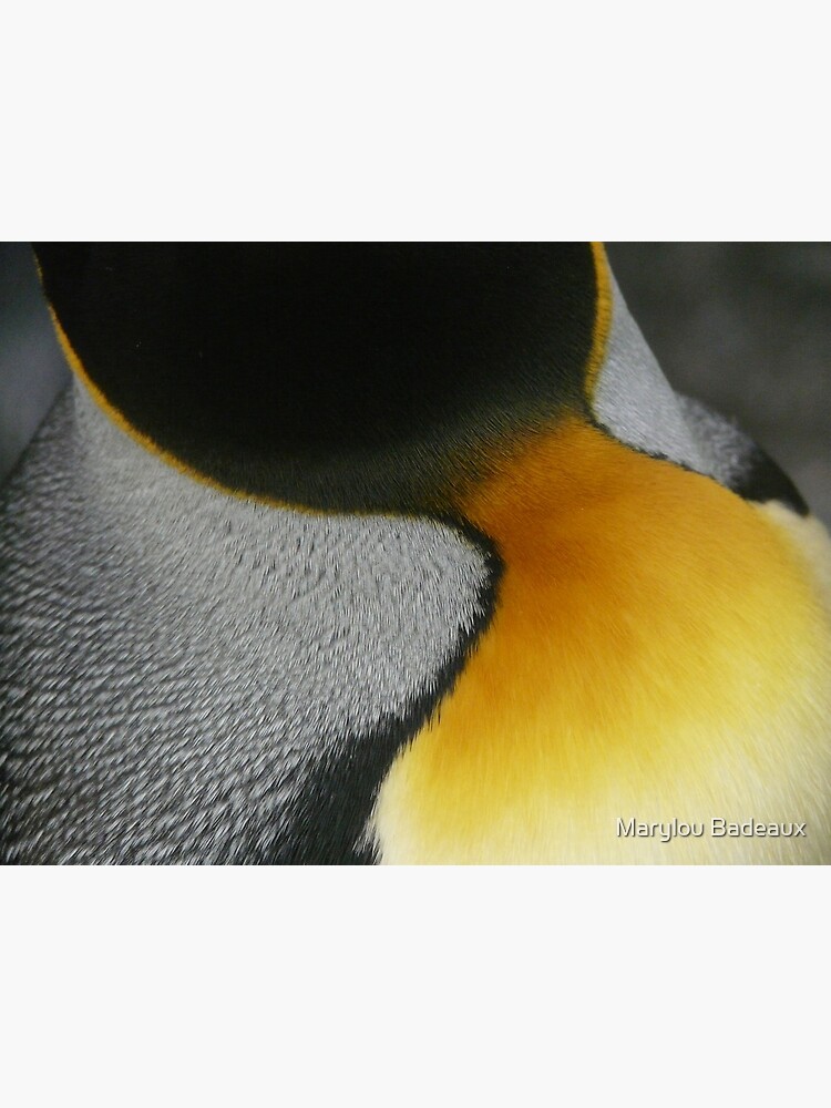 King penguin feather in bottle outlet