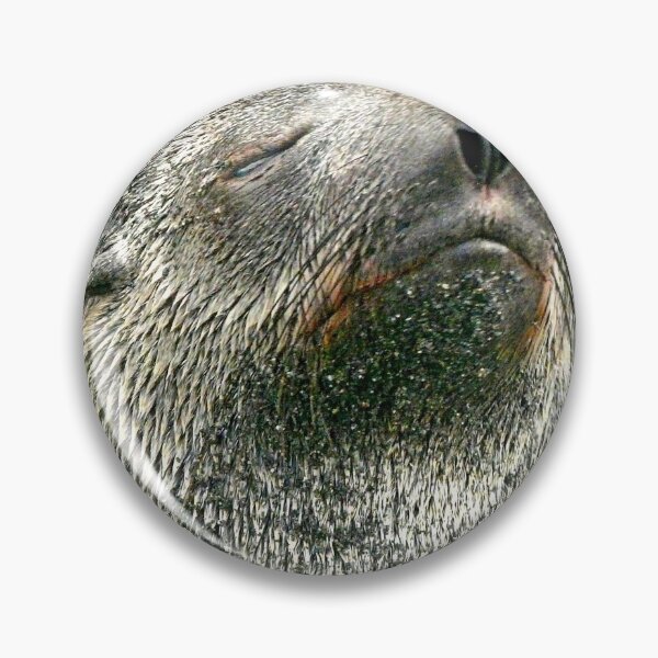 Artikelvorschau, Seal close-up entworfen und verkauft von Marylou Badeaux.