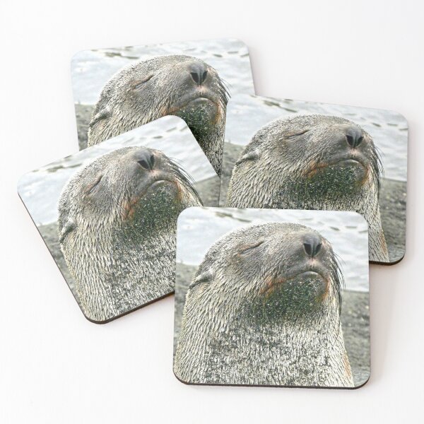 Item preview, Seal close-up designed and sold by Marylou Badeaux.