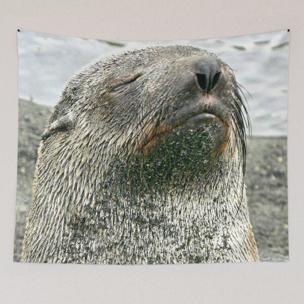 Item preview, Seal close-up designed and sold by Marylou Badeaux.