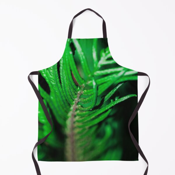 Item preview, Ostrich, fiddlehead or shuttlecock fern ornamental leaves through the summer sunlight. designed and sold by FENIO.