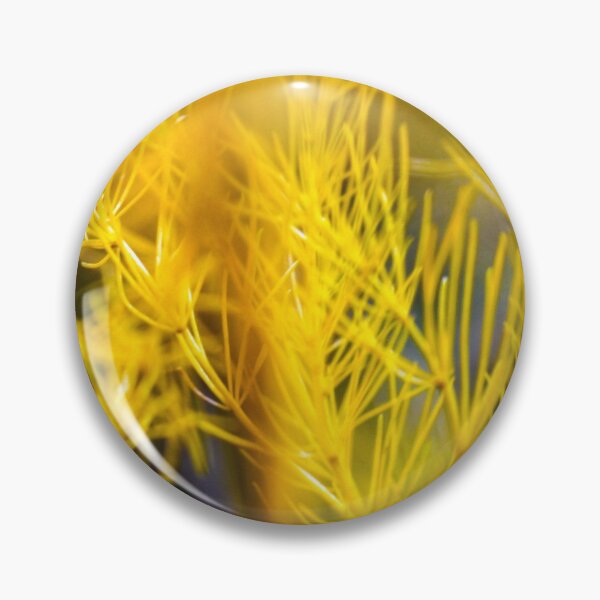 Item preview, Warm autumn meadow rural golden garden asparagus or sparrow grass sun under wind.  designed and sold by FENIO.