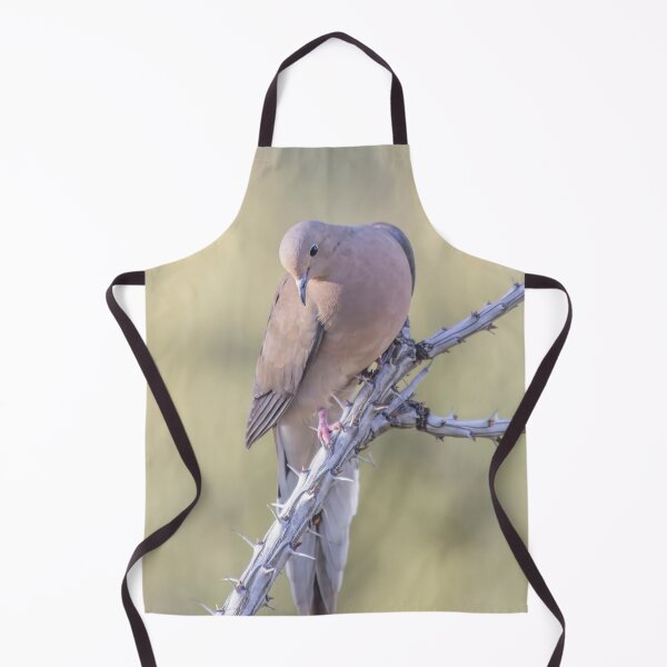 Item preview, Dove on Ocotillo designed and sold by Elisabeth Lucas.