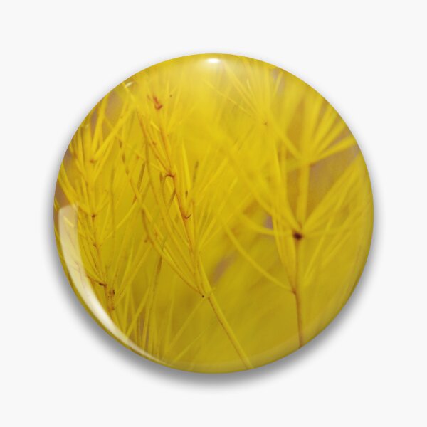 Item preview, Warm autumn meadow rural golden garden asparagus or sparrow grass sun under wind. designed and sold by FENIO.