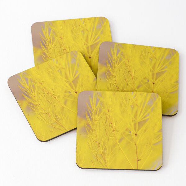 Item preview, Warm autumn meadow rural golden garden asparagus or sparrow grass sun under wind. designed and sold by FENIO.