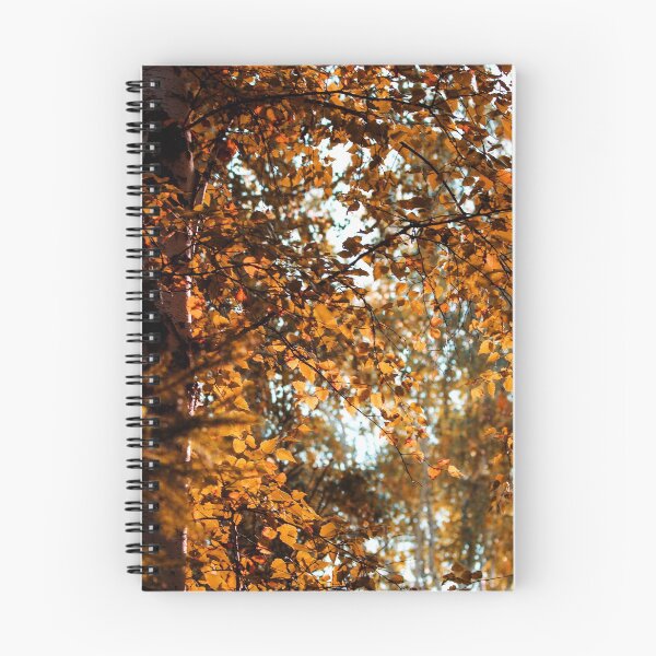 Item preview, Otoño de hojas doradas y naranjas en la rama de un árbol. designed and sold by FENIO.